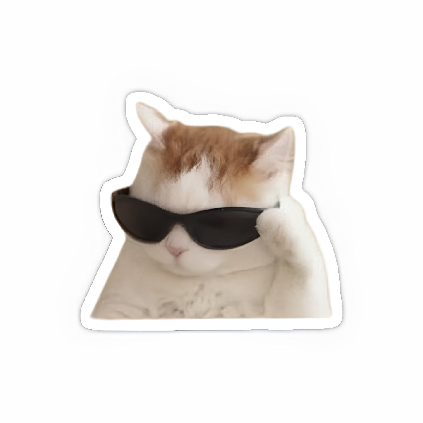 Attitude cat sticker