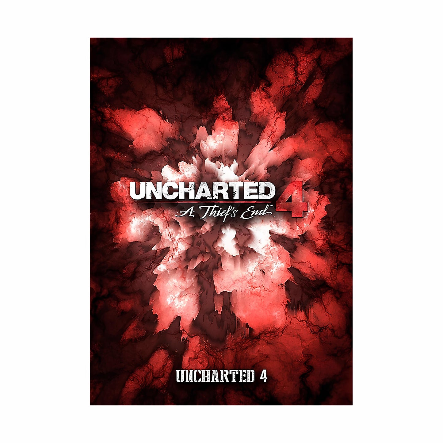 Uncharted Metal Poster-55