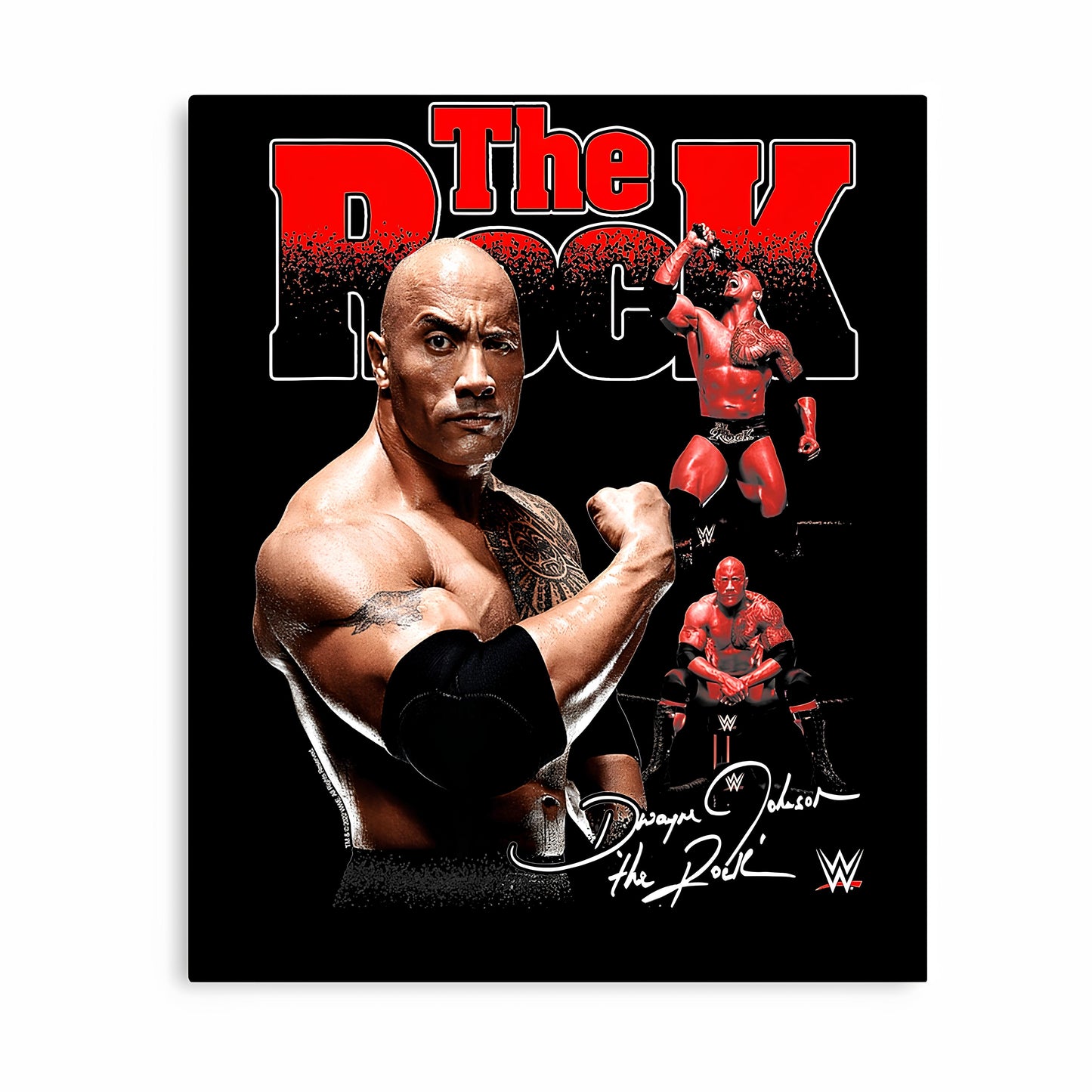 WWE Metal Poster-17