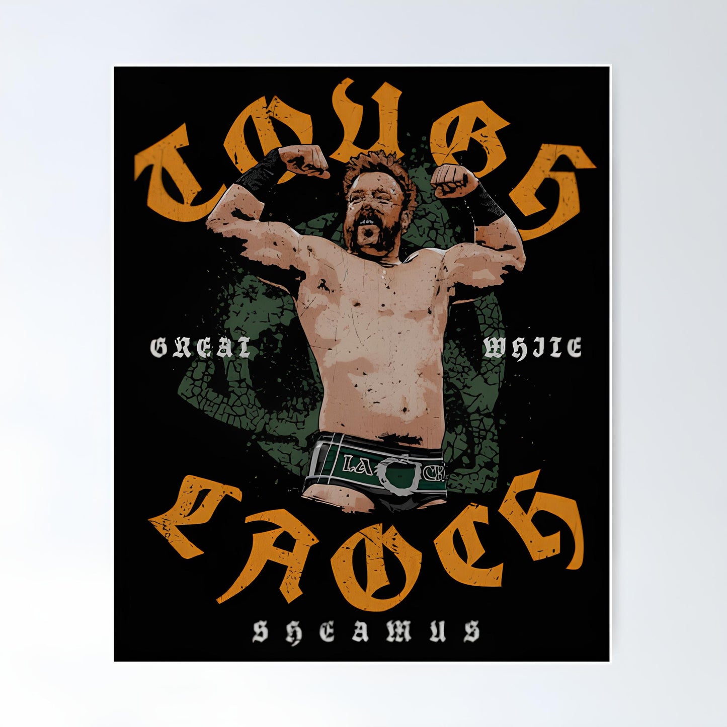 WWE Metal Poster-62