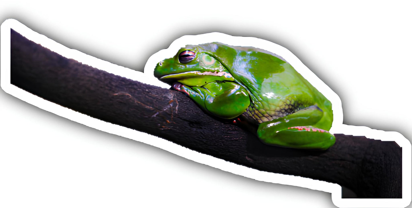 Frog sticker