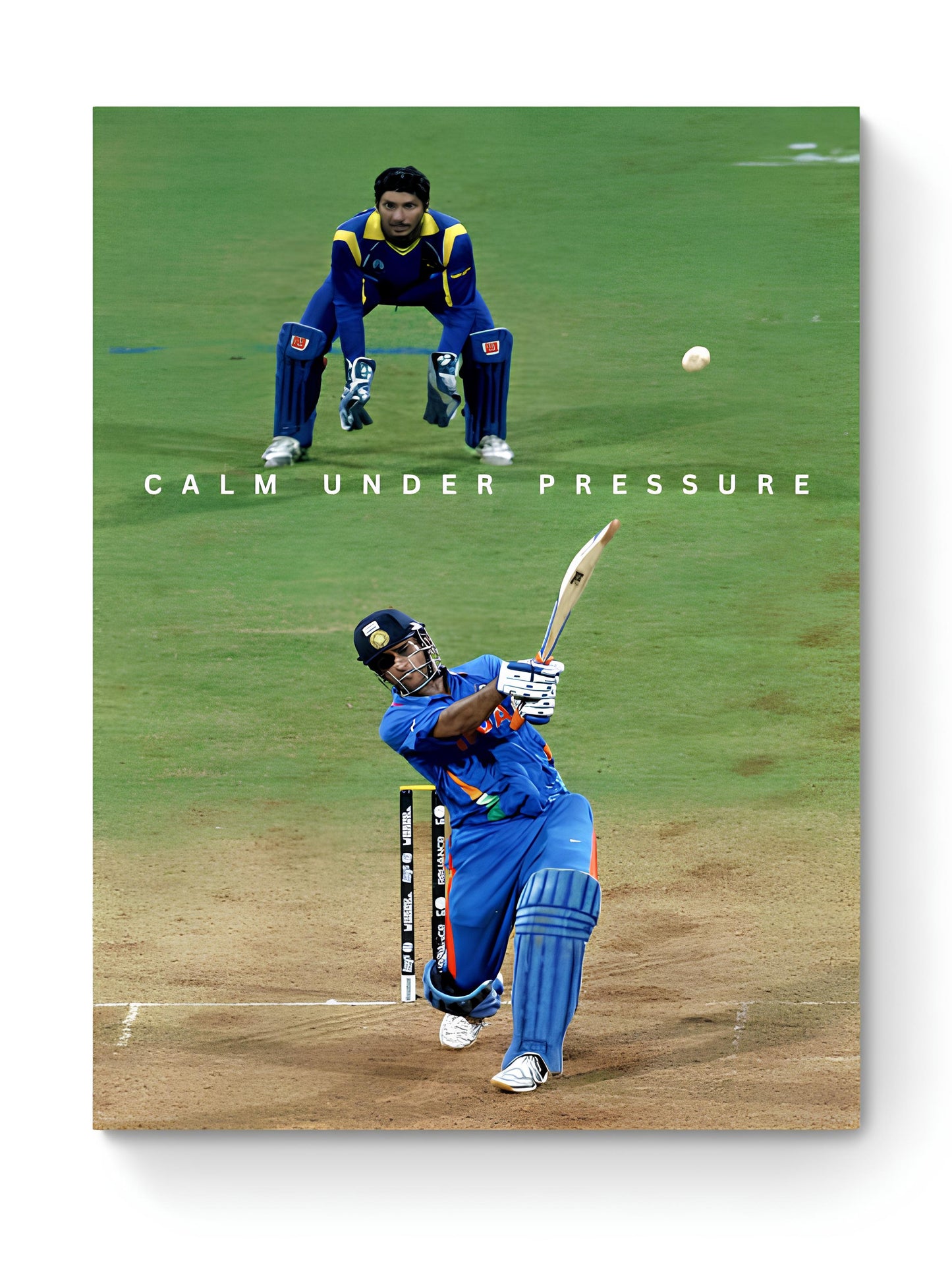 MSD - CLAM UNDER PRESSURE