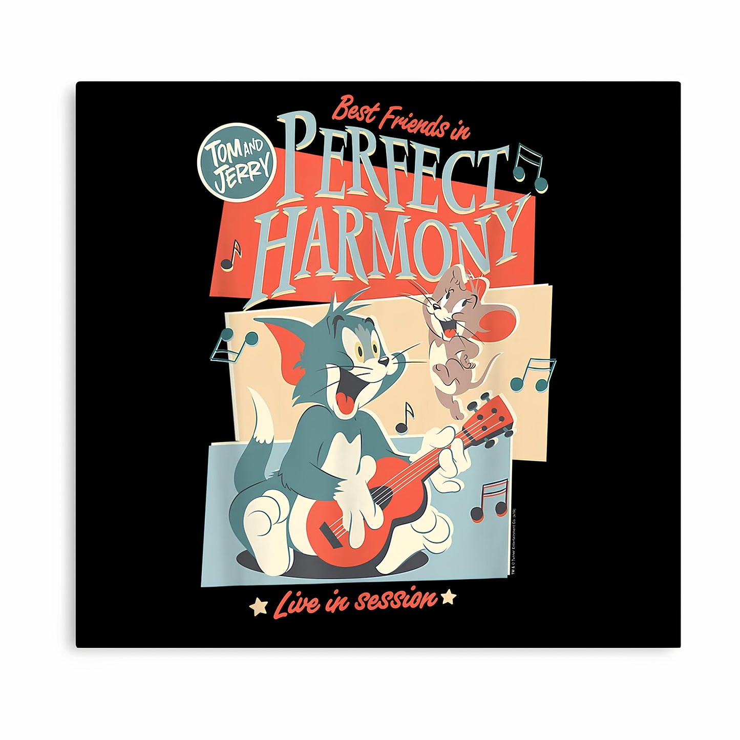 Tom And Jerry Metal Poster-50