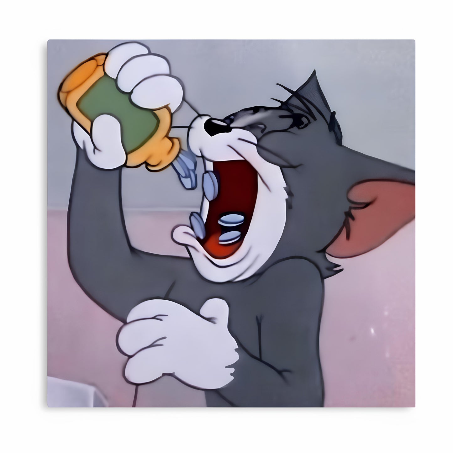 Tom And Jerry Metal Poster-57