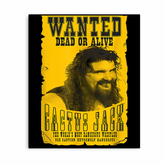 WWE Metal Poster-1