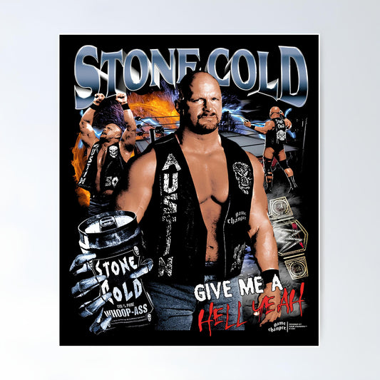 WWE Metal Poster-29