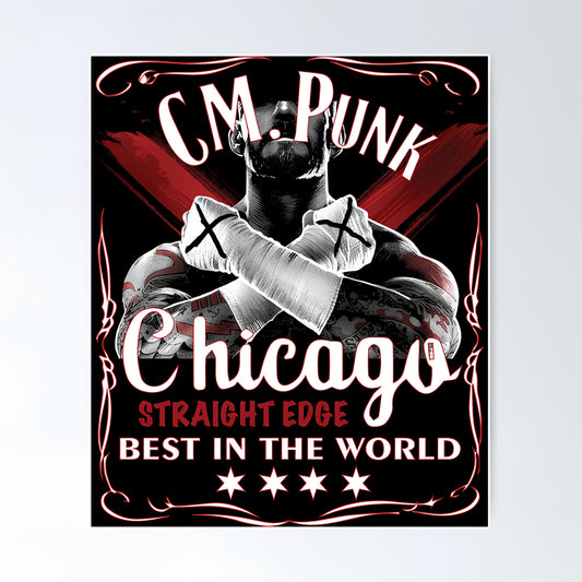 WWE Metal Poster-47