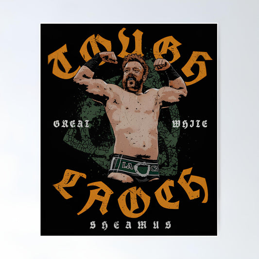WWE Metal Poster-62