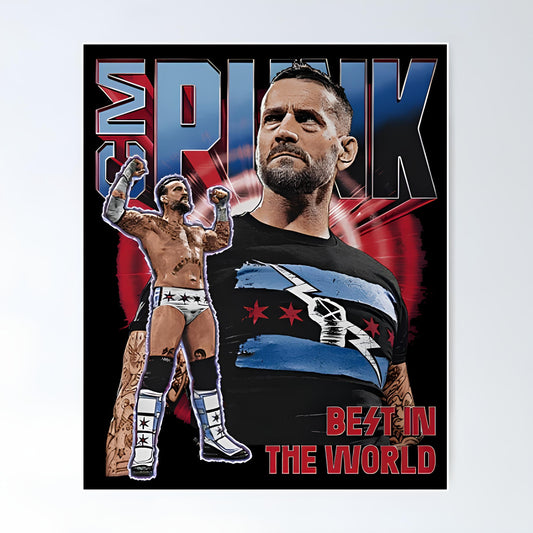 WWE Metal Poster-8