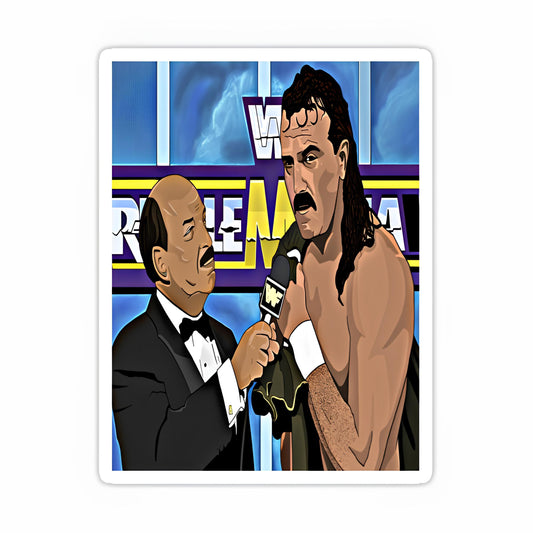 WWE sticker-30