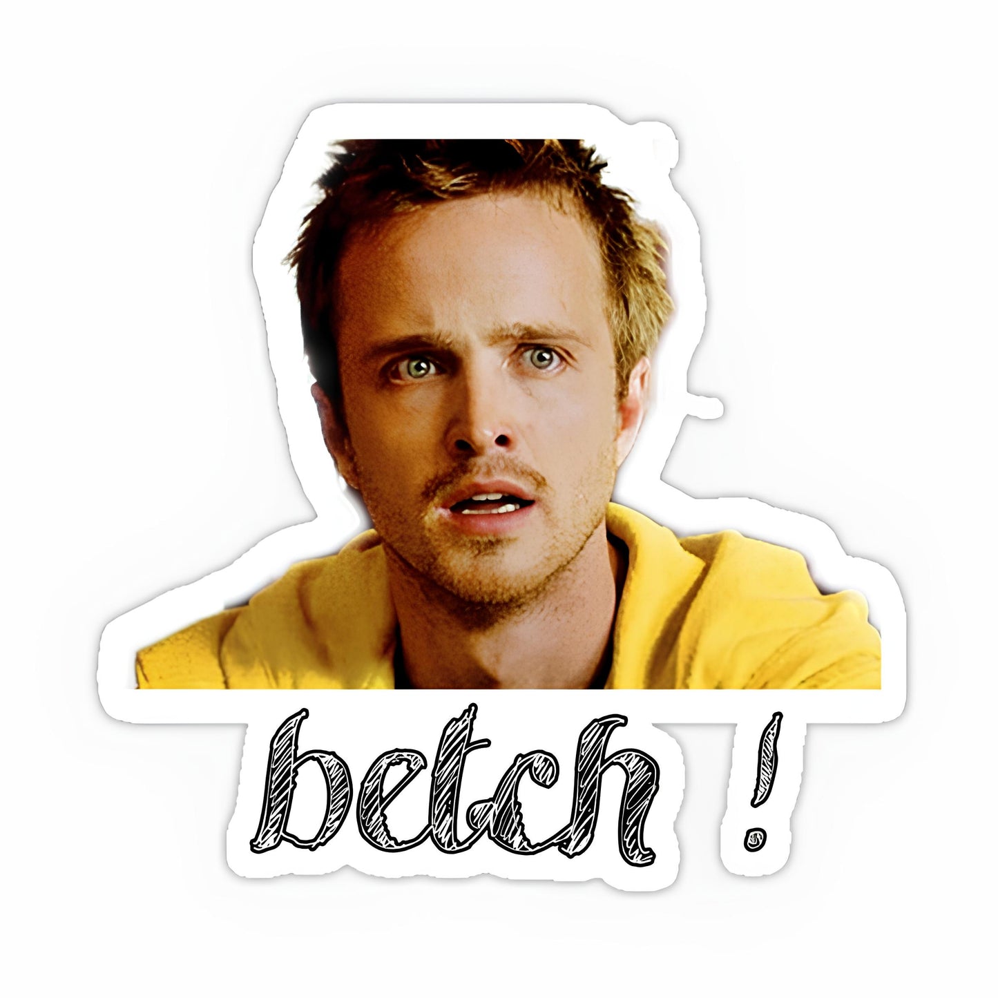 Breaking Bad Sticker-4