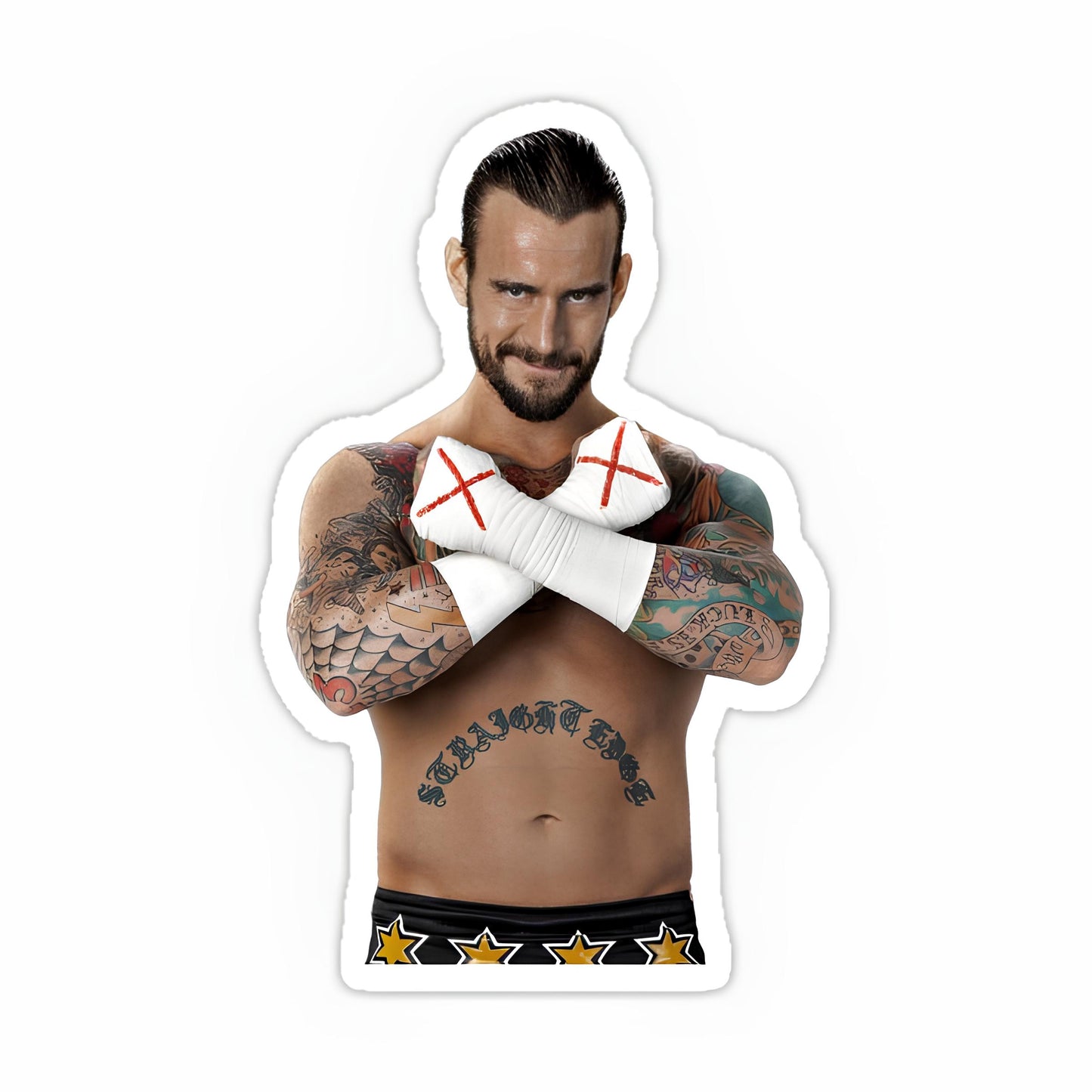 Cm Punk Sticker-6